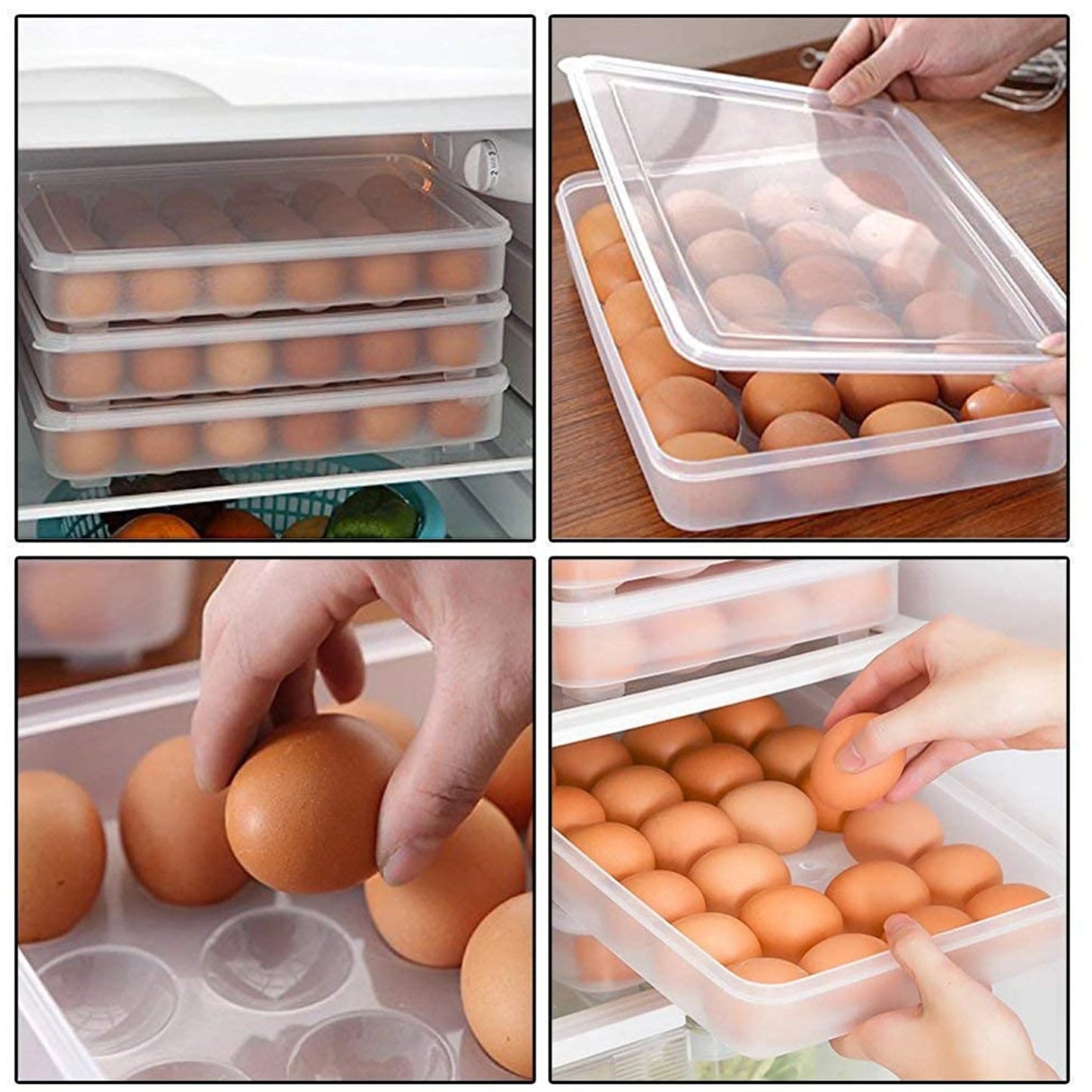 Egg Storage Box