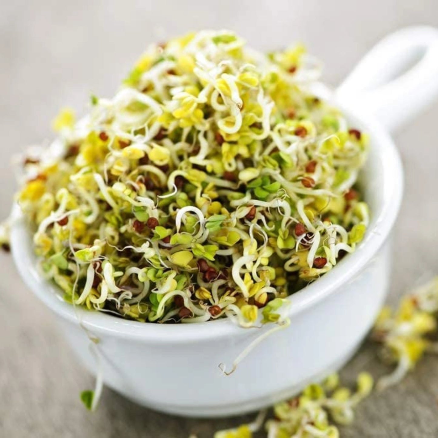 Sprout Maker