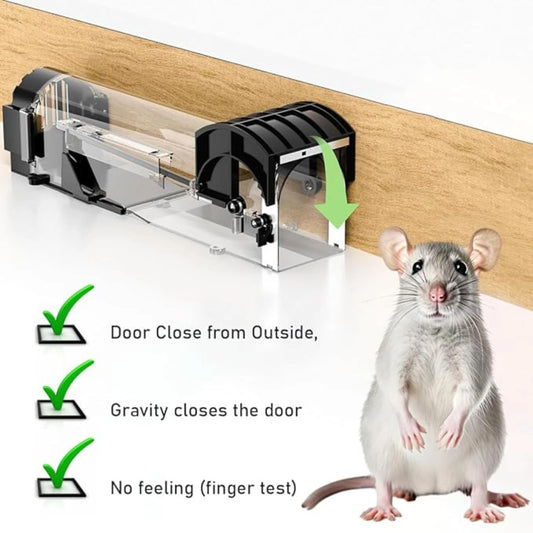 Rat Trap Cage