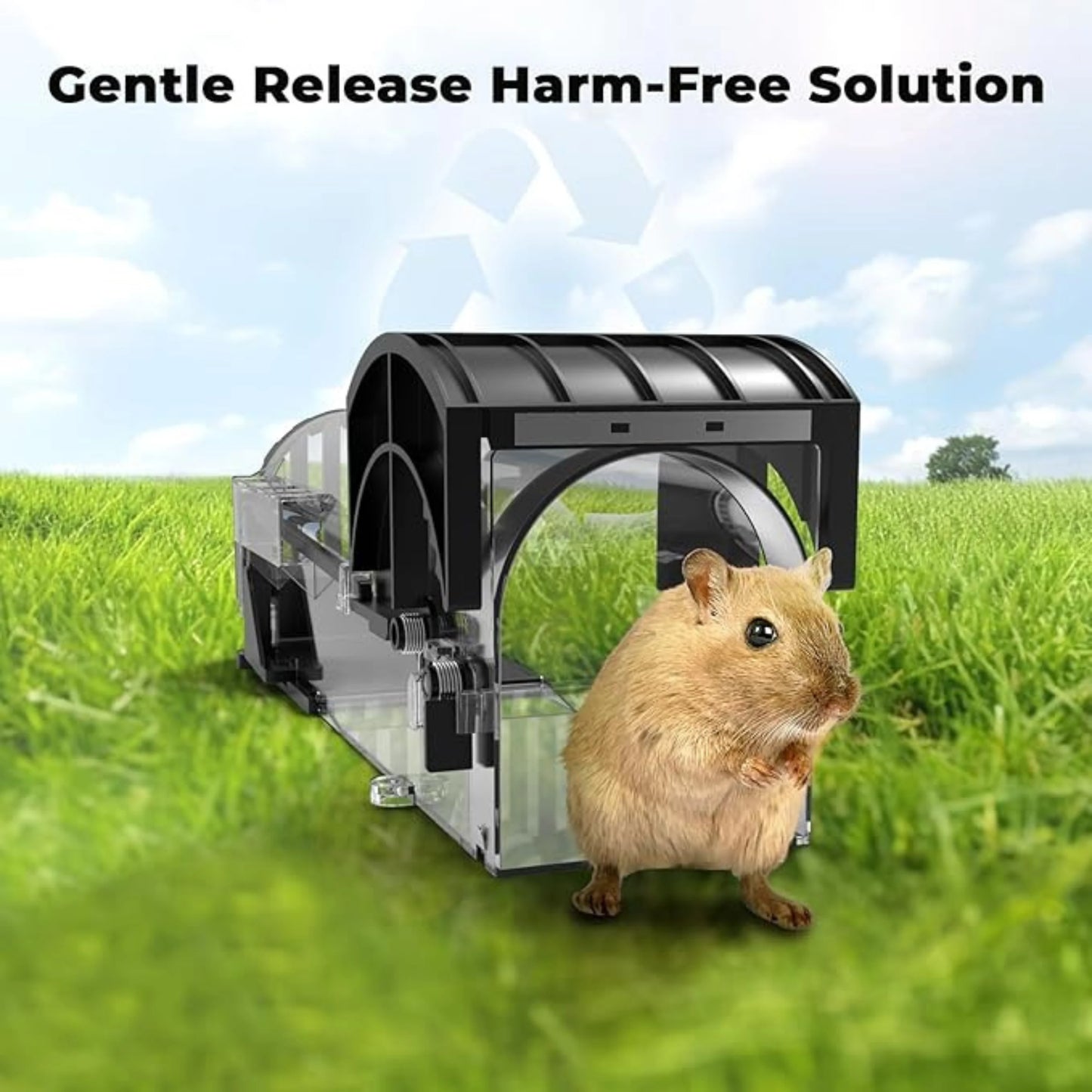 Rat Trap Cage