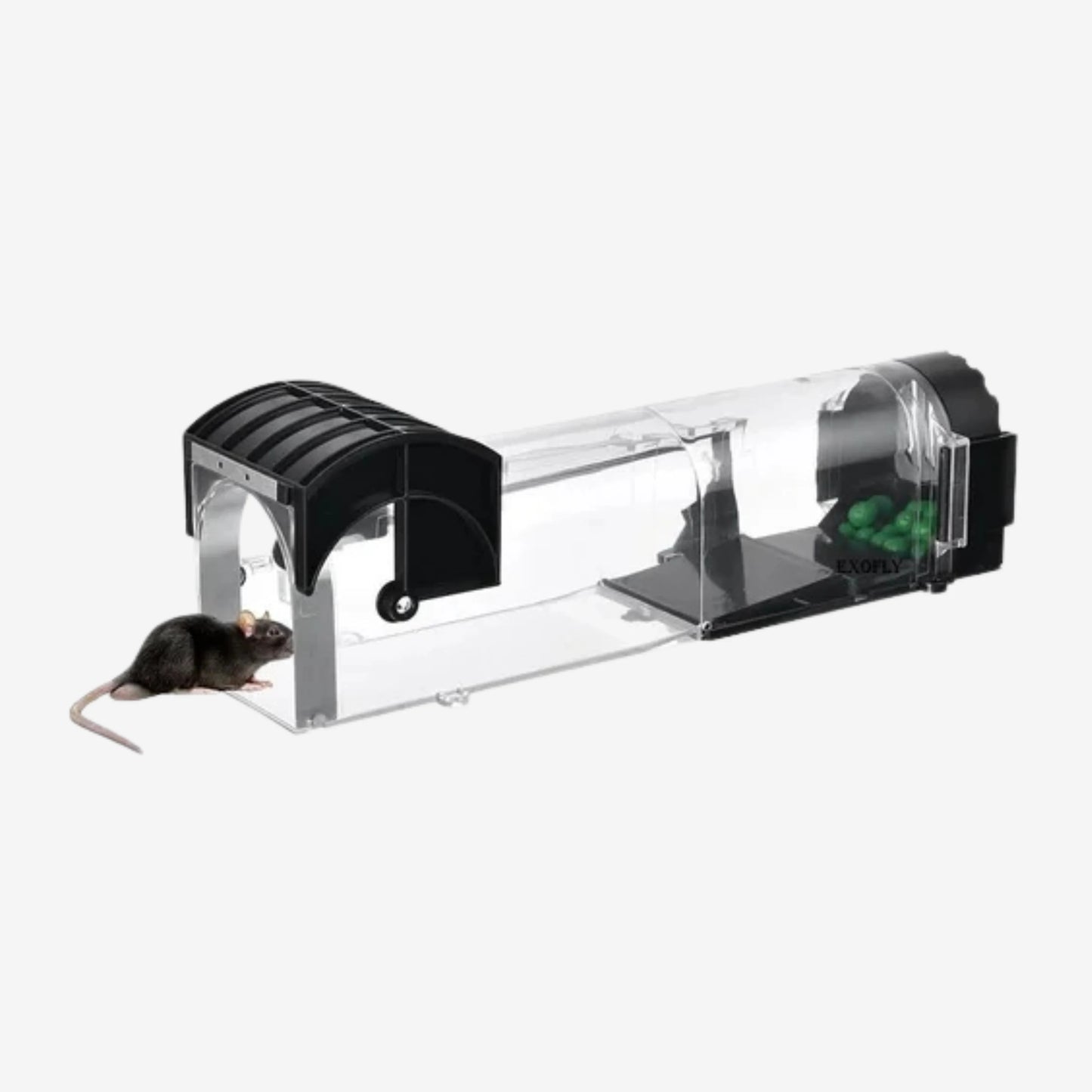Rat Trap Cage