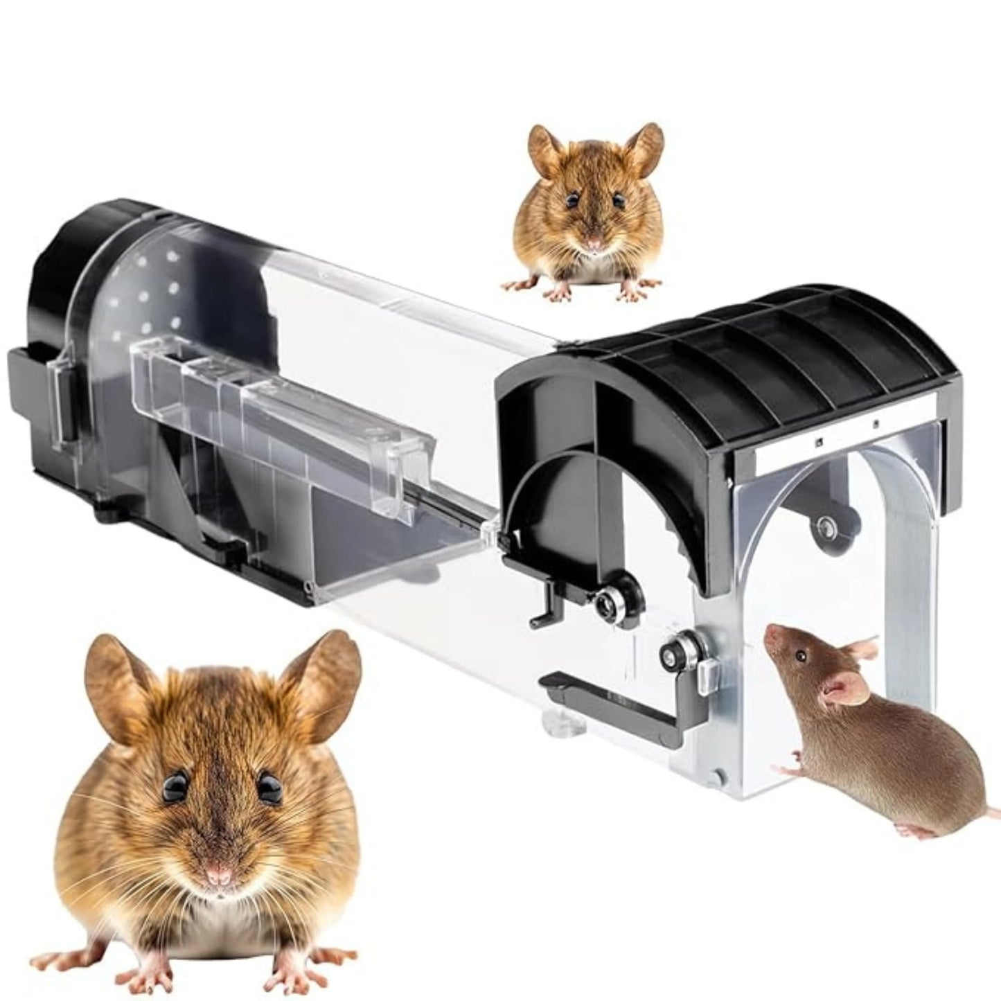 Rat Trap Cage