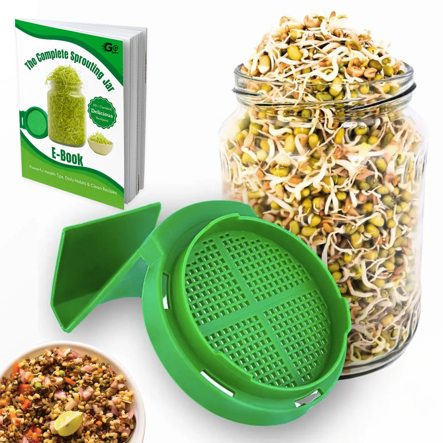 Sprout Maker Jar with Drainage Stand and Recipe E-Book