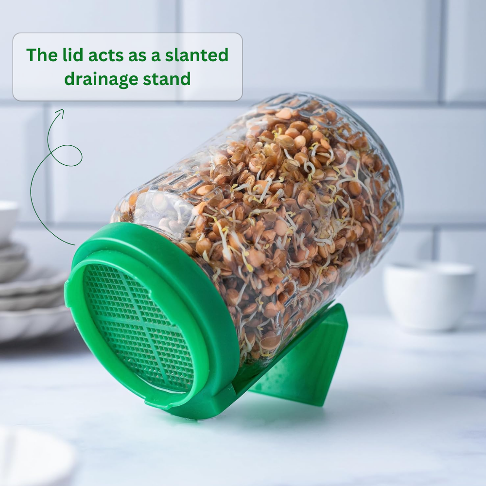 Go Store Sprout Maker Jar with E-Book of 50+ Healthy Recipes