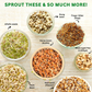Go Store Sprout Maker Jar with E-Book of 50+ Healthy Recipes