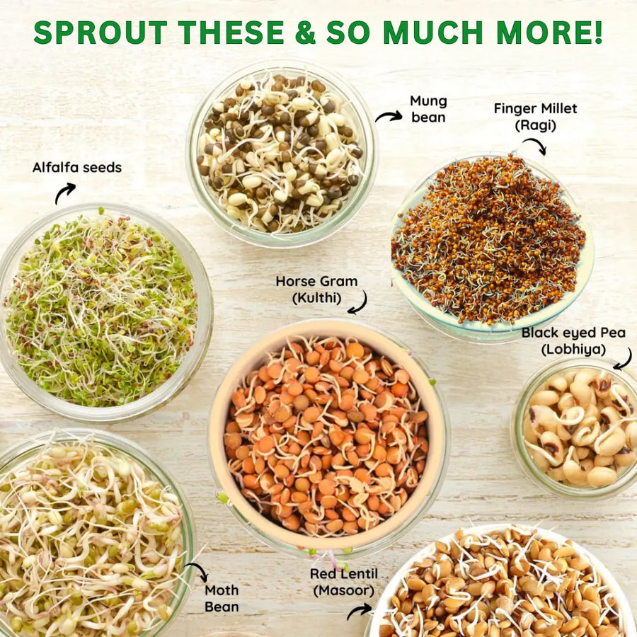 Sprout Maker Jar with Drainage Stand and Recipe E-Book