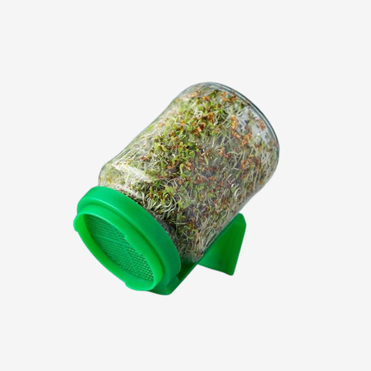 Sprout Maker Box | Easy Sprouting Kit
