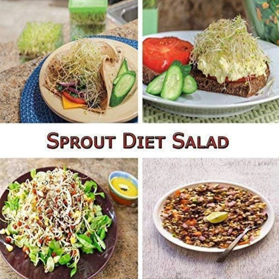 Sprout Maker with Hygienic Sprouting Trays