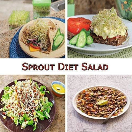 Sprout Maker