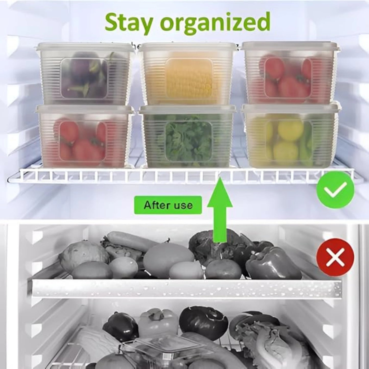 Fridge Storage Container | Food Storage Box