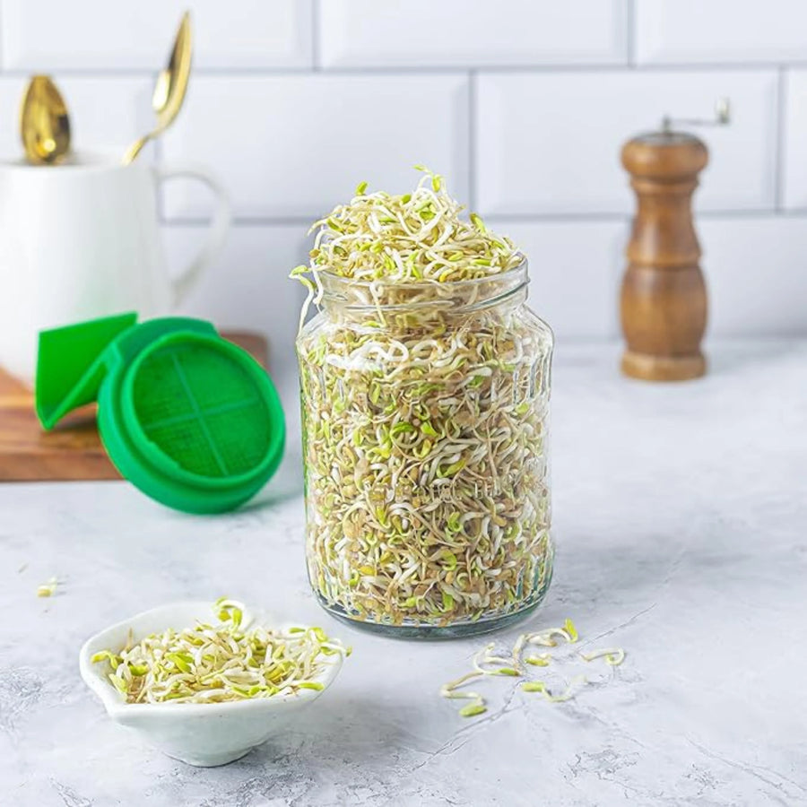 Sprout Maker Jar with Drainage Stand and Recipe E-Book