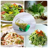 Sprout Maker Jar with Drainage Stand and Recipe E-Book