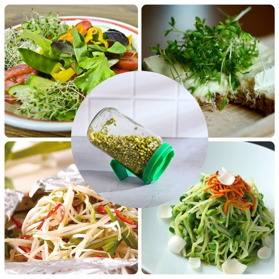 Sprout Maker Jar with Drainage Stand and Recipe E-Book